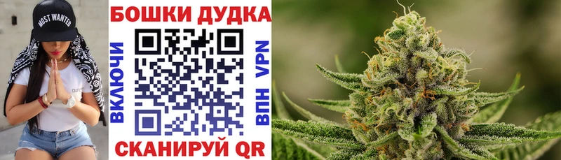 hydra   купить   Иннополис  Марихуана OG Kush 